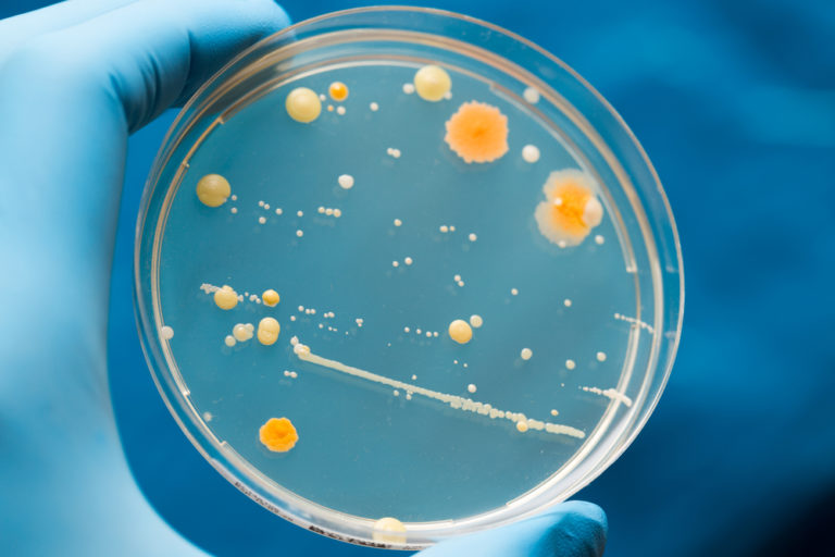 Microbiology