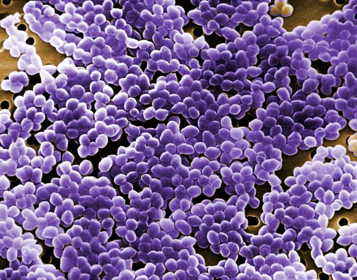 Researchers Examine Genetic Approach for Surveillance of Nosocomial Pathogens in Air and on Surfaces in Healthcare Settings